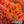 Felicity Tie Dye Flowy Pants