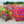 Hand Held Parasols-Umbrella Elephant