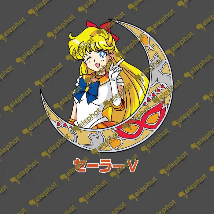 Sailor Moon 22 / Adult Dtf Transfers