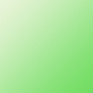 Siser EasyWeed Per Foot