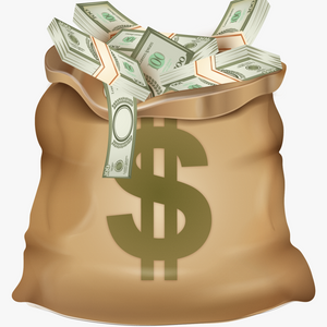 money bag