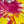 Load image into Gallery viewer, Tie Dye Hoodie
